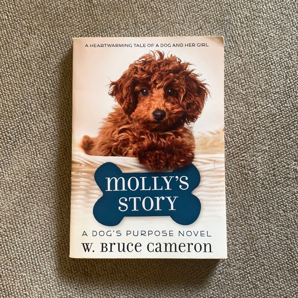 Molly’s Story Novel